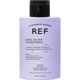 Cool Silver Conditioner